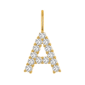 Diamond Initial Charm E118016