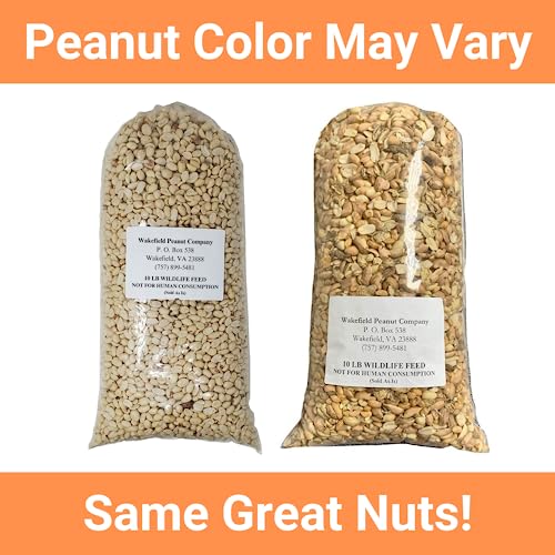 25 LBS Virginia Peanuts W531