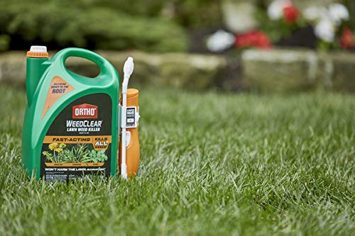 1.33 gal Lawn Weed Killer V26602