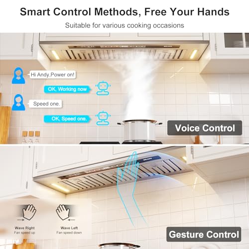 900 CFM Voice Control Kitchen Range Hood M6037
