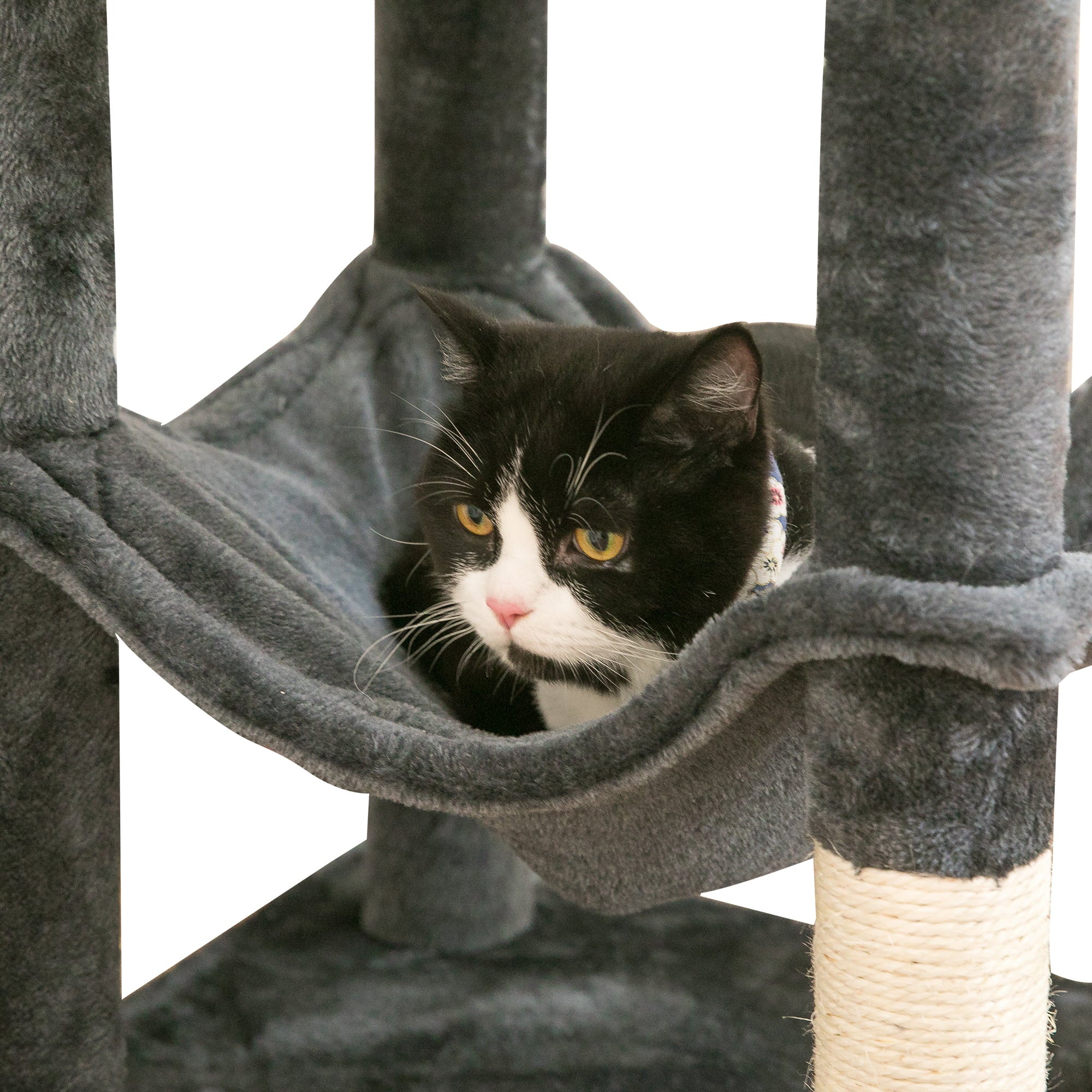 63.8-in Dark Gray Cat Tree with Condo and Scratching Post G184088