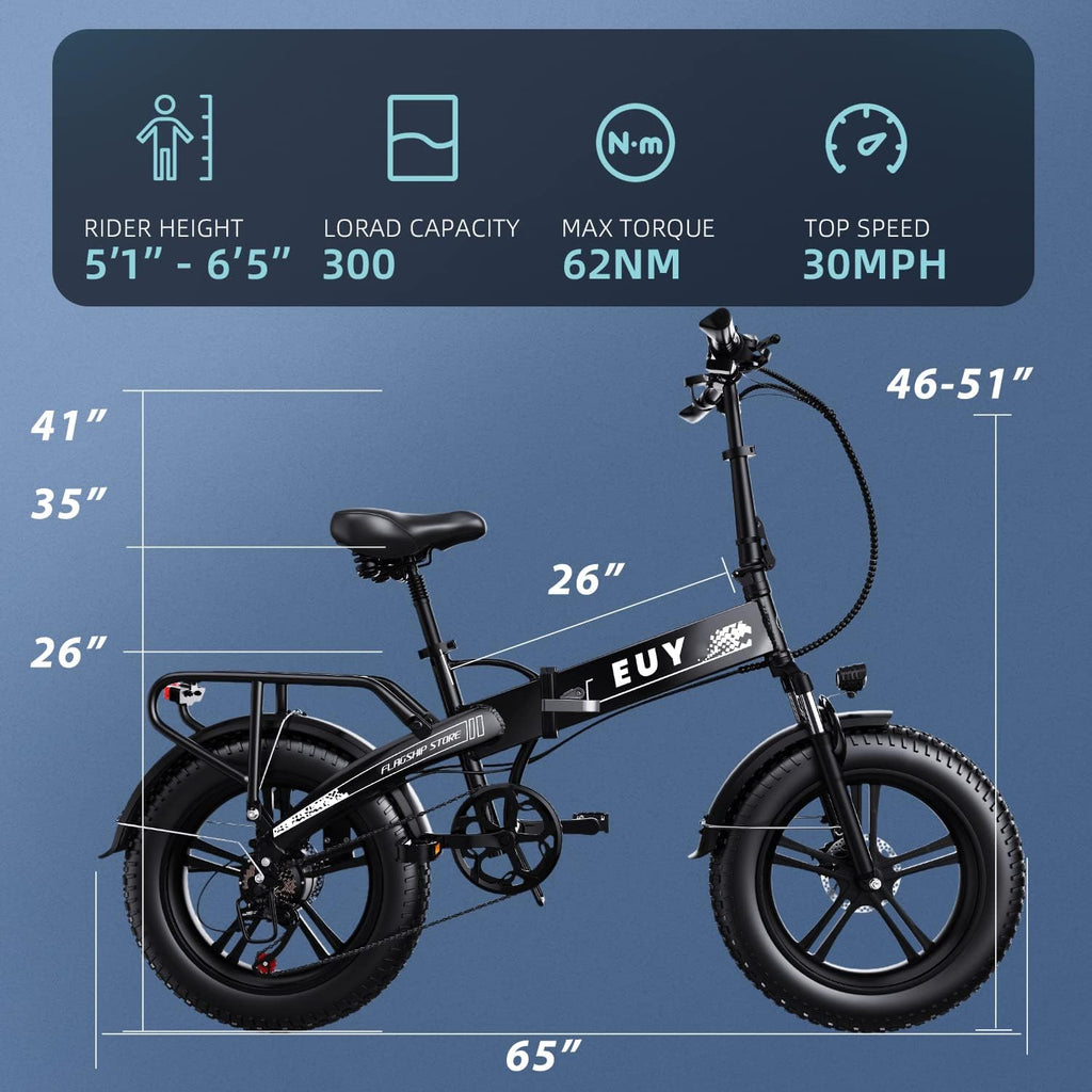 Folding Electric Bike, 48V18Ah/12.8ah Removable Lithium Battery, 750W Motor, 20" Fat Tire, Shimano 7-Speed, Dual Shock Absorber R260