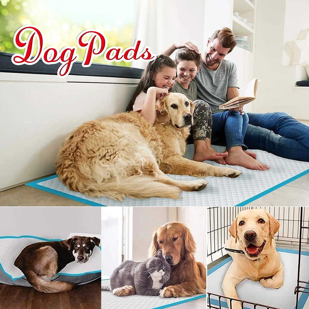 XXL Absorbent Dog Training Pads, 30x36 inch, 100 Count U4543