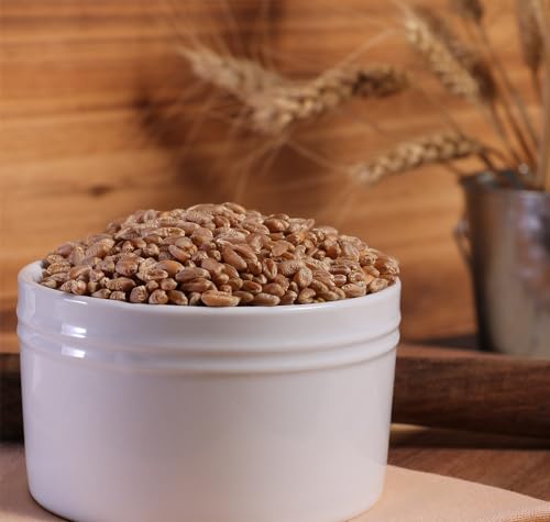 Organic Hard Red Wheat Berries - 3lbs L56335