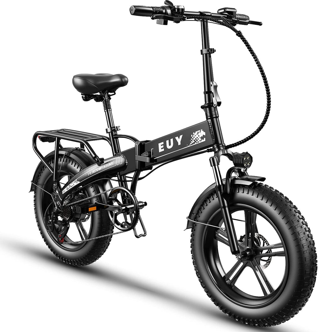 Folding Electric Bike, 48V18Ah/12.8ah Removable Lithium Battery, 750W Motor, 20" Fat Tire, Shimano 7-Speed, Dual Shock Absorber R260