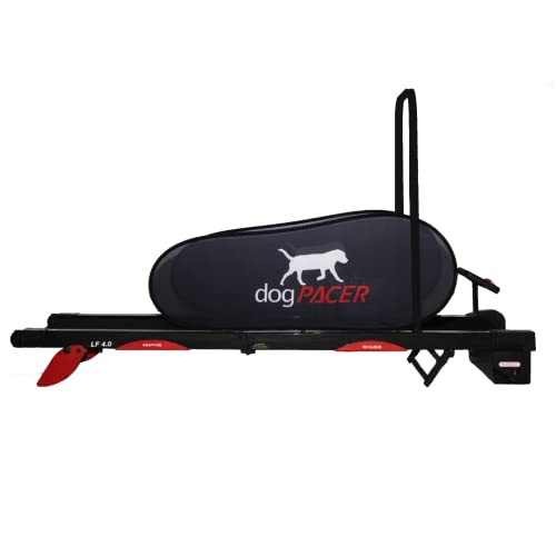 Black Full Size Dog Treadmill P685