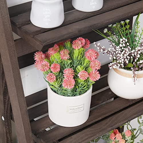 4 Tier Wooden Plant Stand G7389