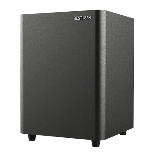 Powered Subwoofer with Coaxial Cable M98165