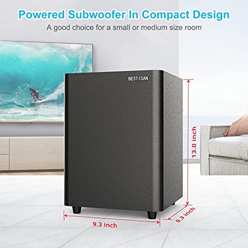 Powered Subwoofer with Coaxial Cable M98165