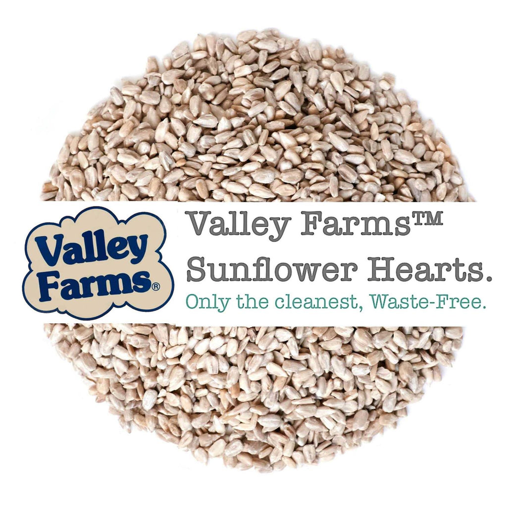 Sunflower Hearts Wild Bird Food N31802