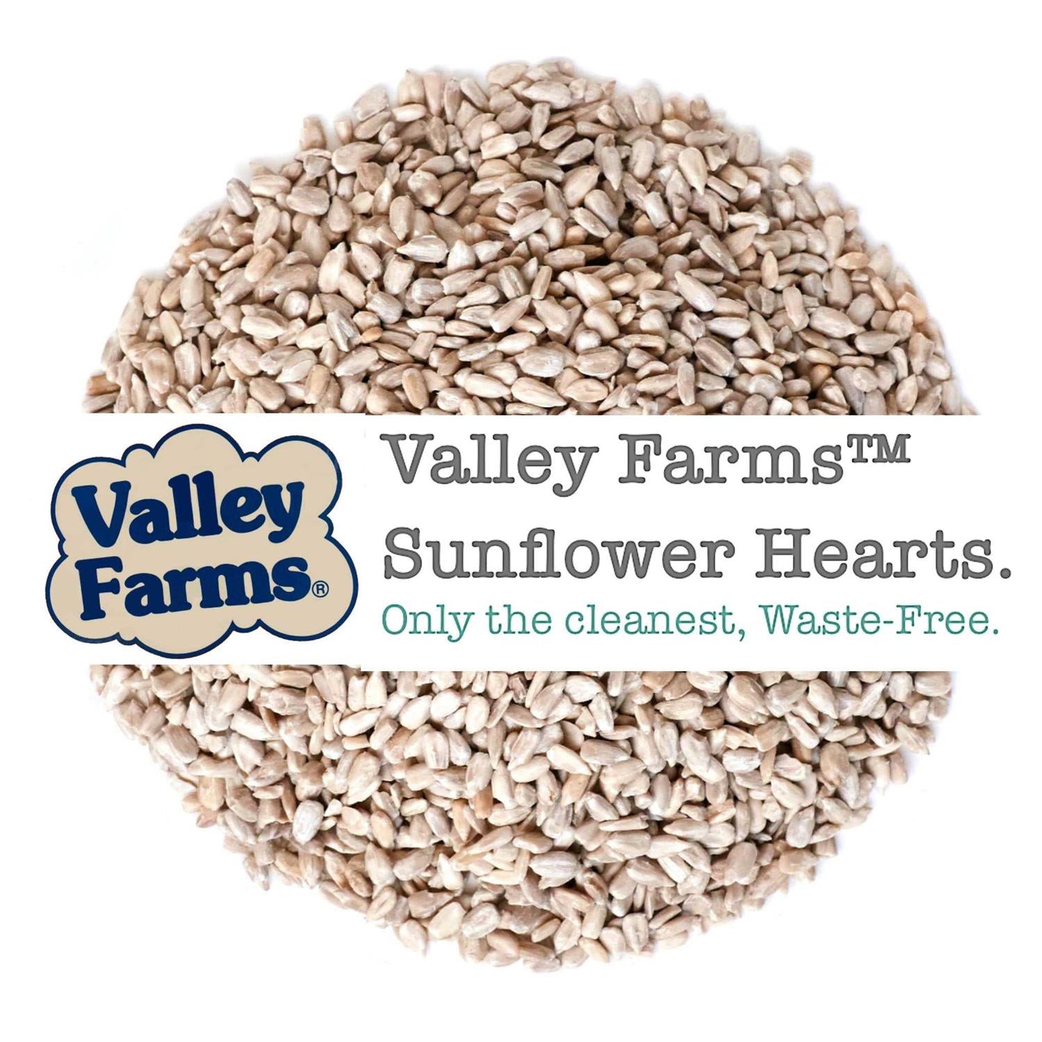 Sunflower Hearts Wild Bird Food N31802