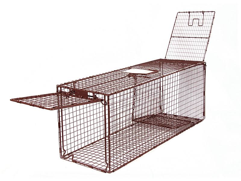 36D Humane Live Animal Trap E348133