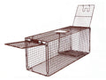 36D Humane Live Animal Trap E348133