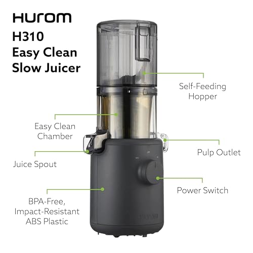 Self Feeding Slow Masticating Juicer Q597