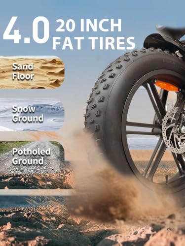 1500W Peak 20" Fat Tire Dual Suspension Electric Bike V117