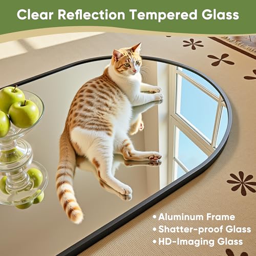 Black 78" Oversized Arched Full Length Floor Mirror with Stand C319