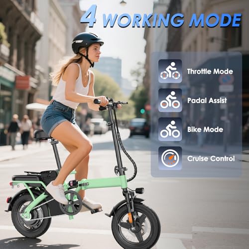E14 Electric Bike 500W Motor, Folding Ebike 14" 48V 13Ah Removable Battery L300
