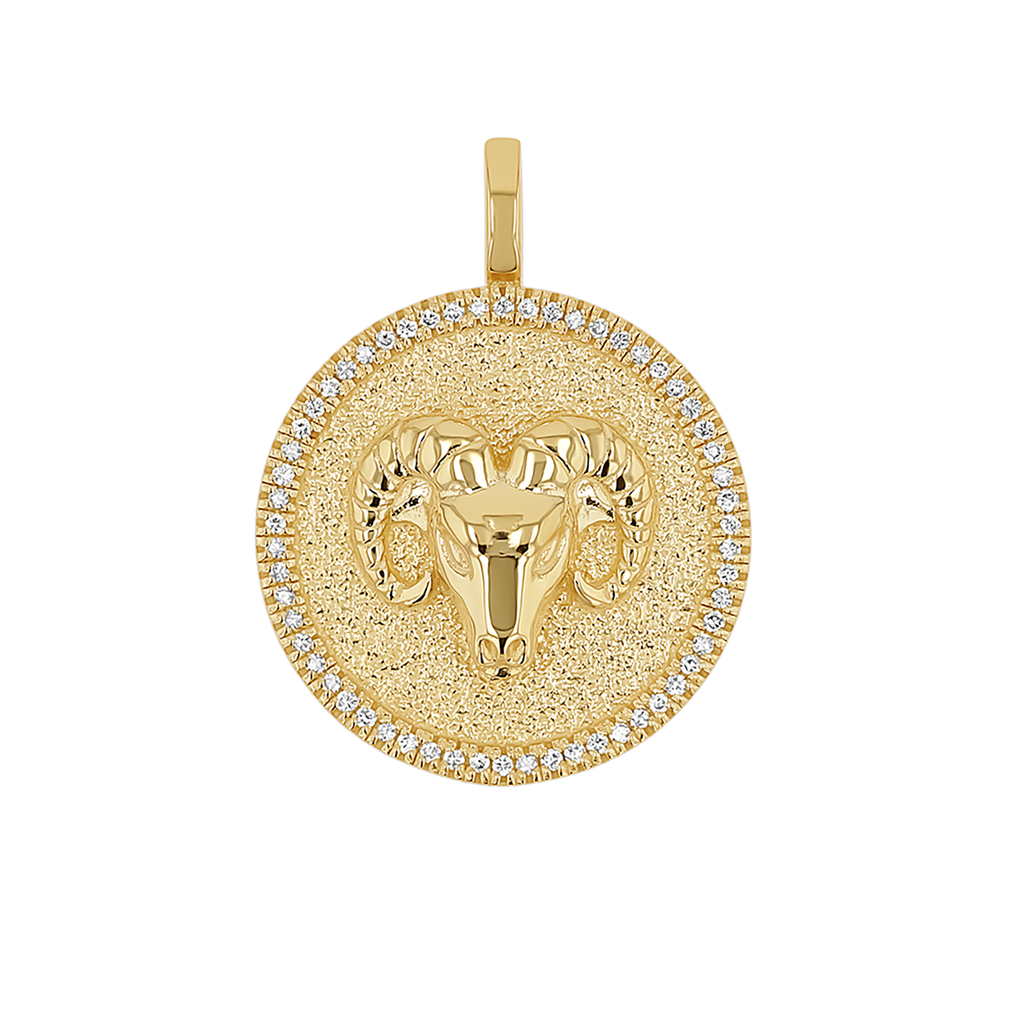 Zodiac Coin Medallion Charm V915