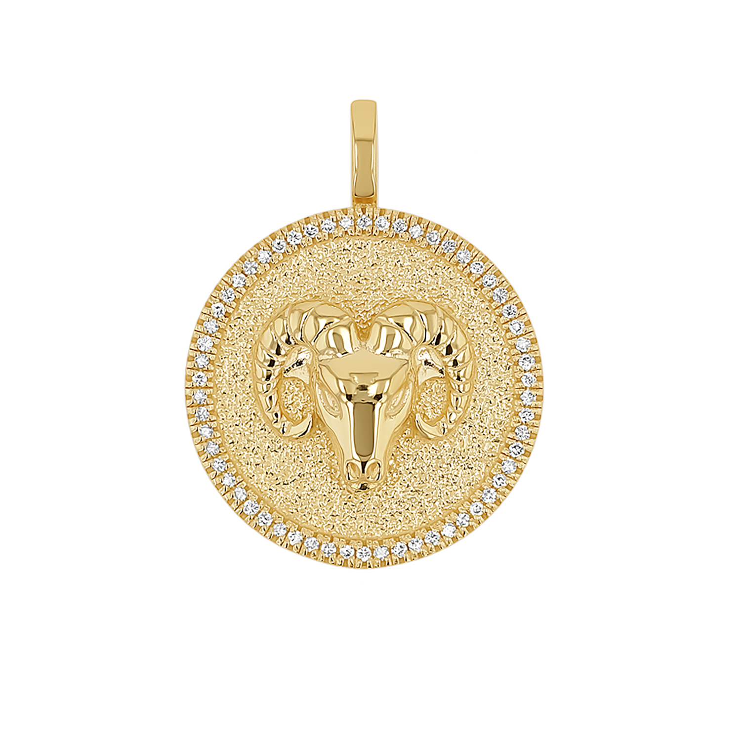Zodiac Coin Medallion Charm V915