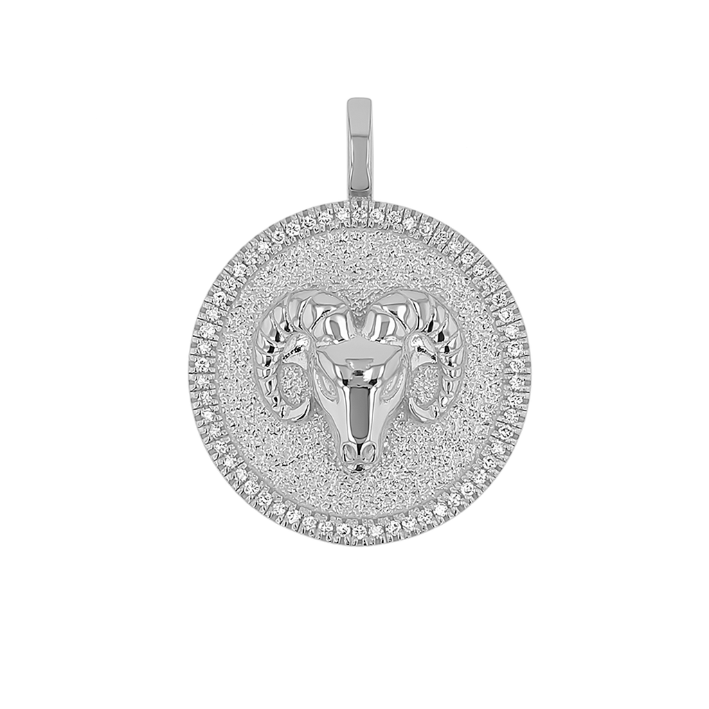 Zodiac Coin Medallion Charm V915