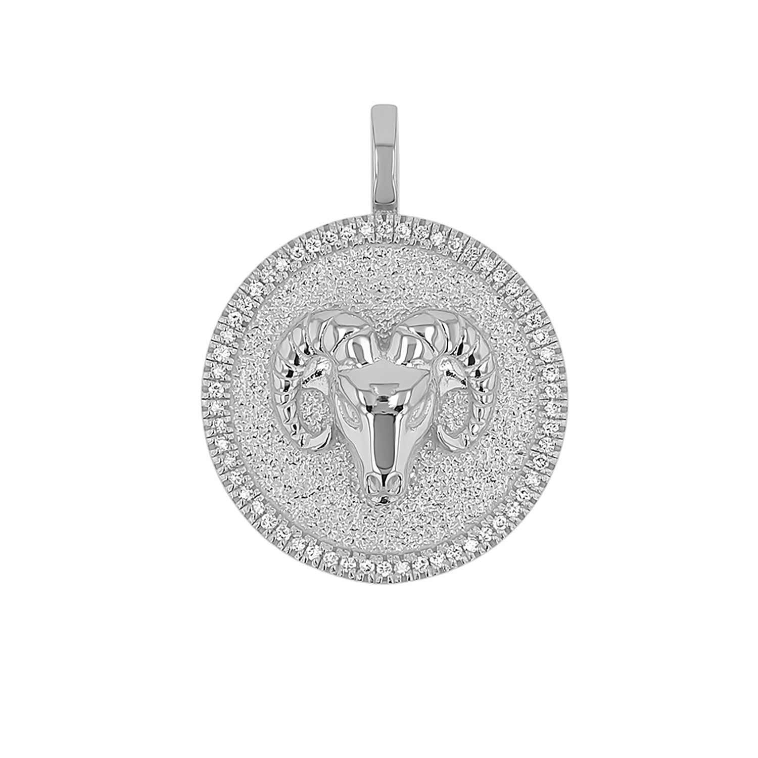 Zodiac Coin Medallion Charm V915