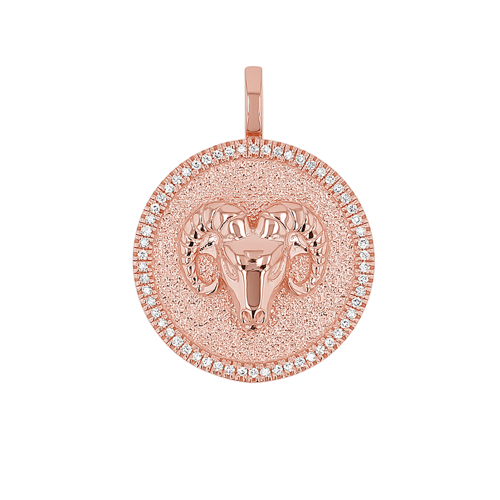 Zodiac Coin Medallion Charm V915