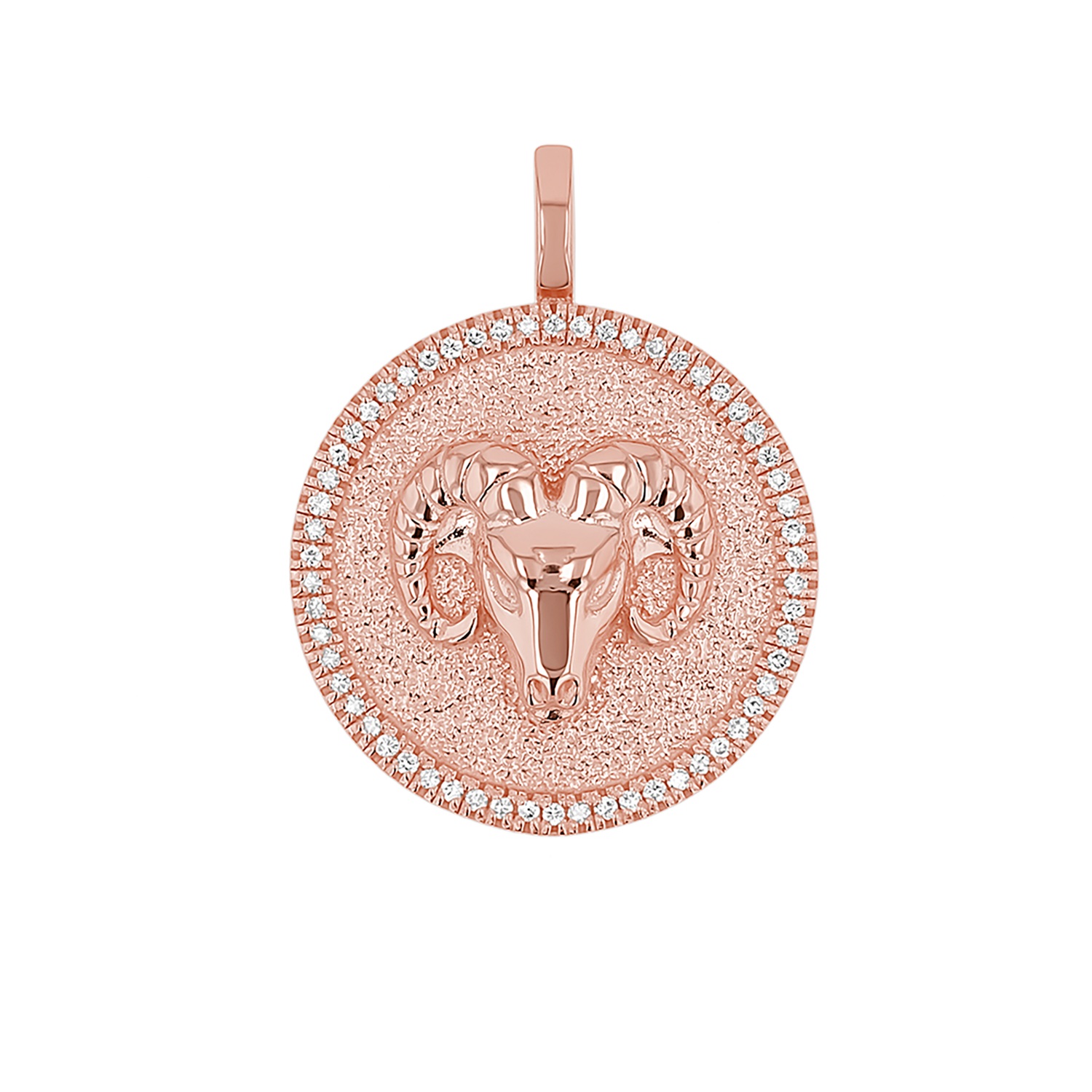 Zodiac Coin Medallion Charm V915