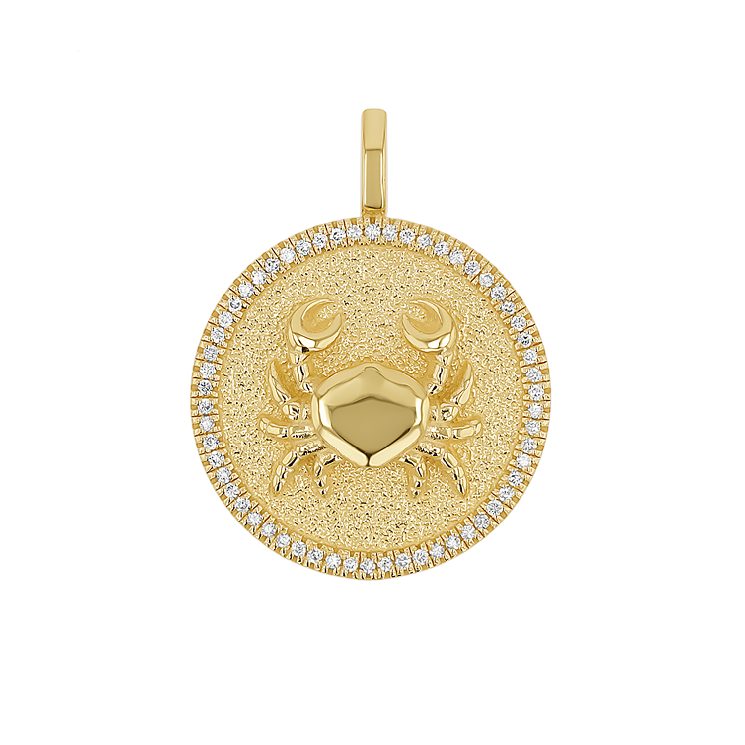 Zodiac Coin Medallion Charm V915