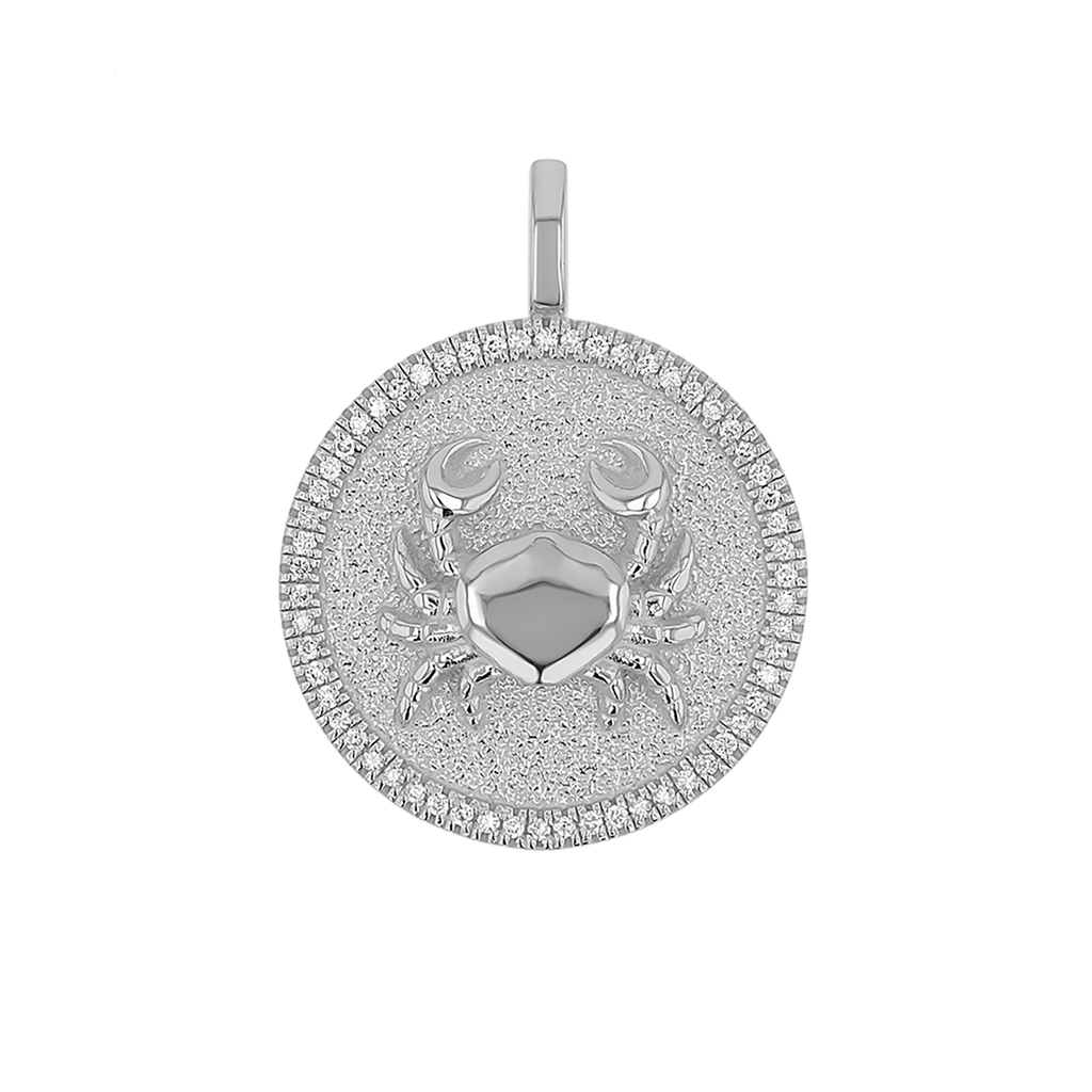 Zodiac Coin Medallion Charm V915