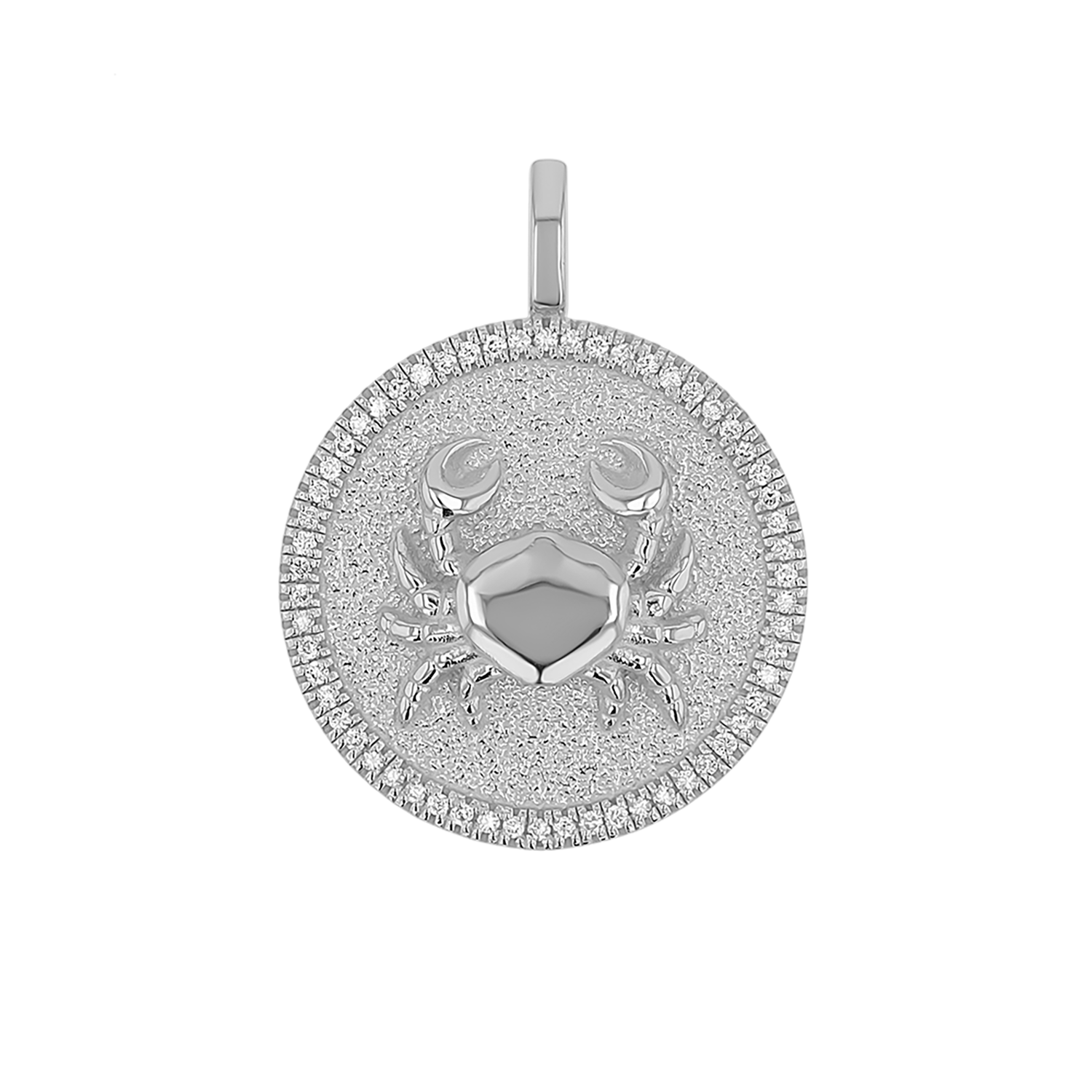 Zodiac Coin Medallion Charm V915
