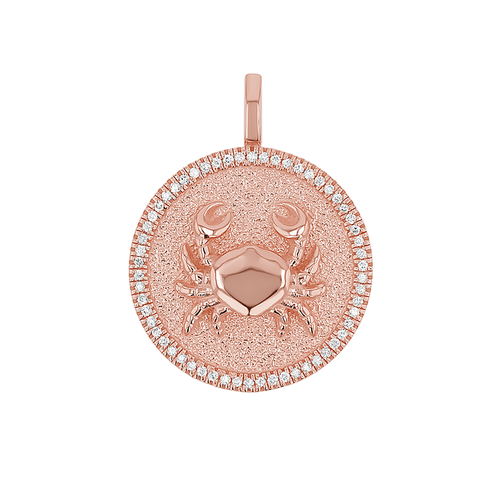 Zodiac Coin Medallion Charm V915