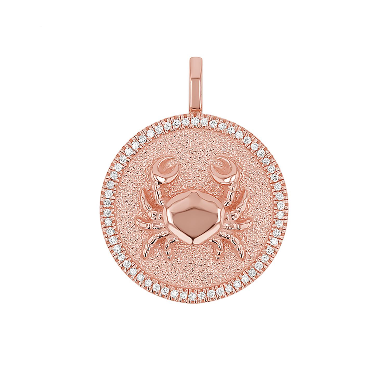 Zodiac Coin Medallion Charm V915