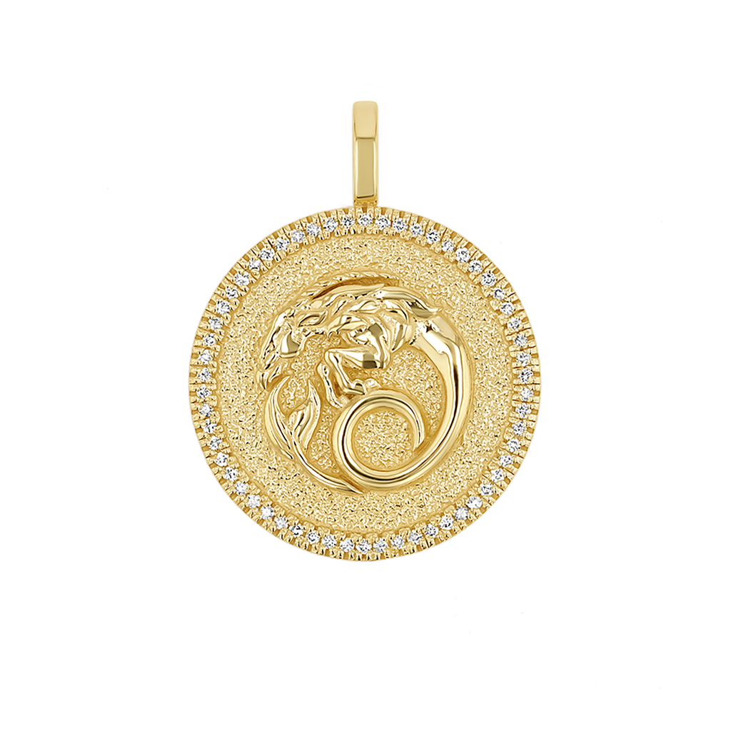 Zodiac Coin Medallion Charm V915