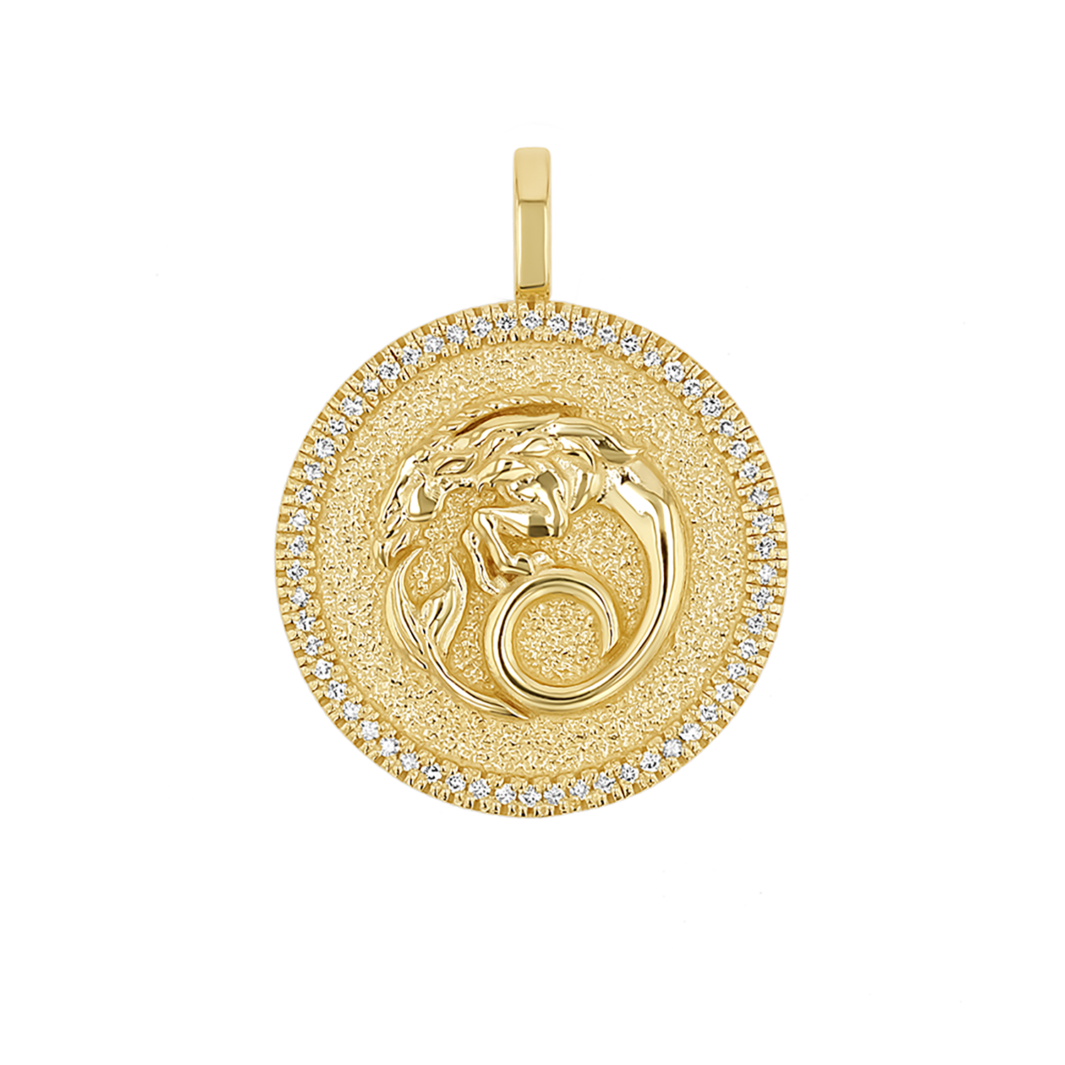 Zodiac Coin Medallion Charm V915