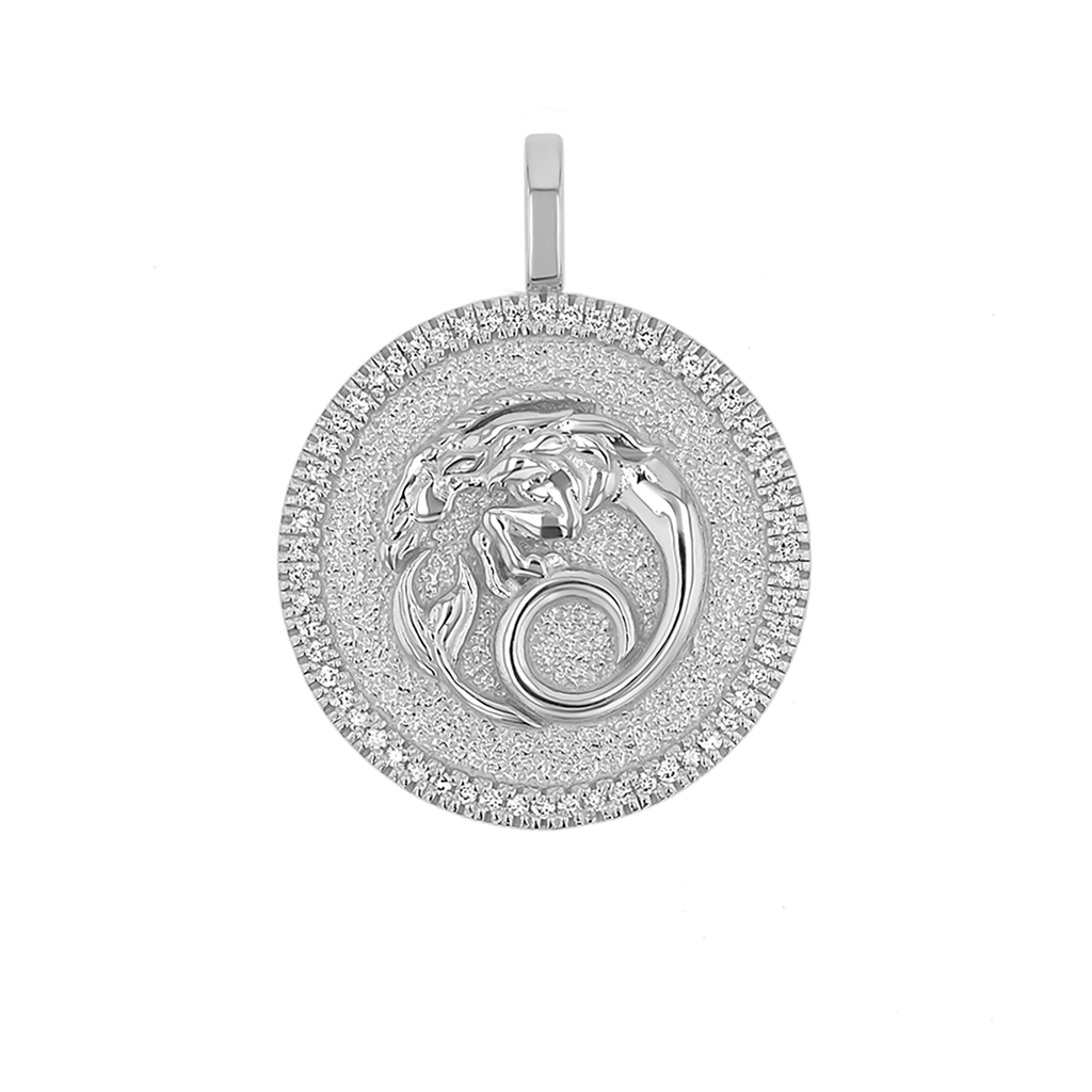 Zodiac Coin Medallion Charm V915
