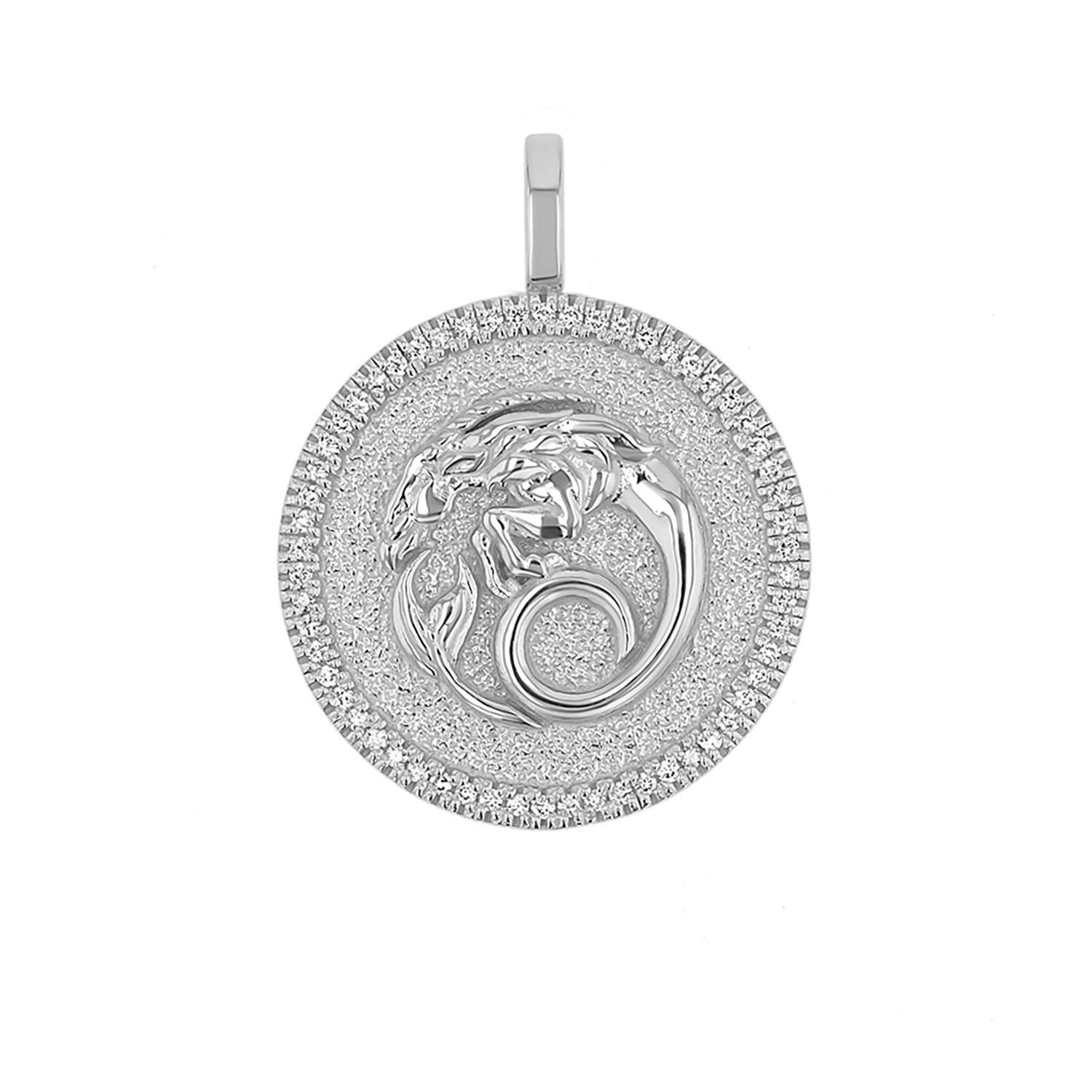 Zodiac Coin Medallion Charm V915