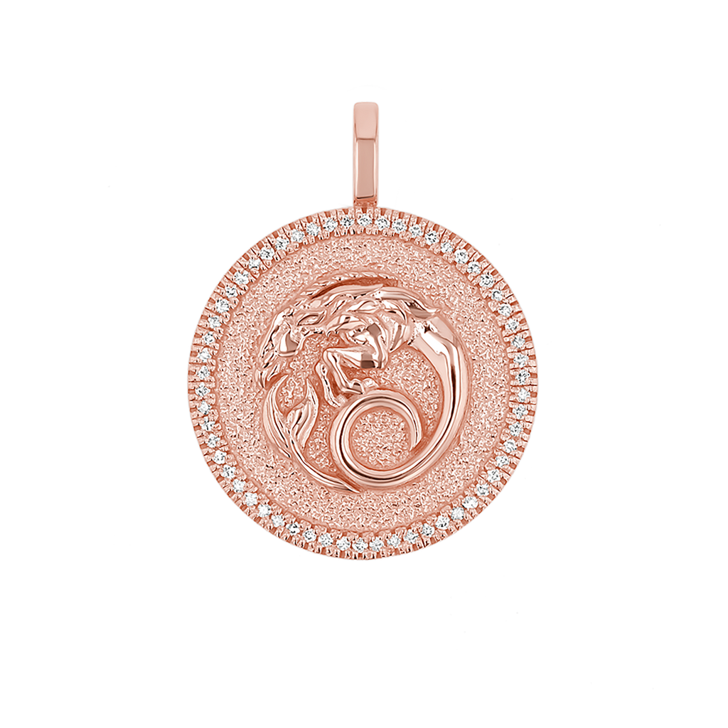 Zodiac Coin Medallion Charm V915