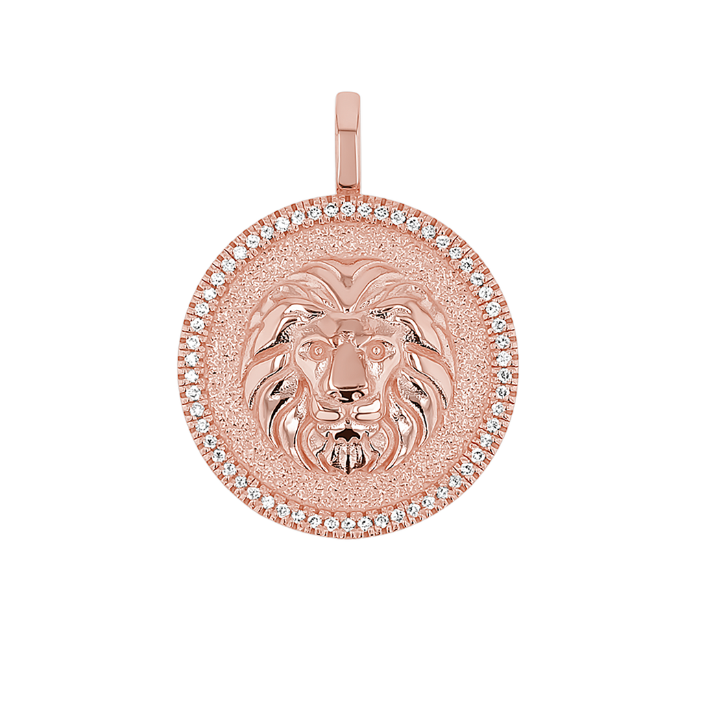 Zodiac Coin Medallion Charm V915