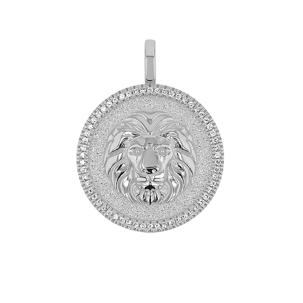 Zodiac Coin Medallion Charm V915