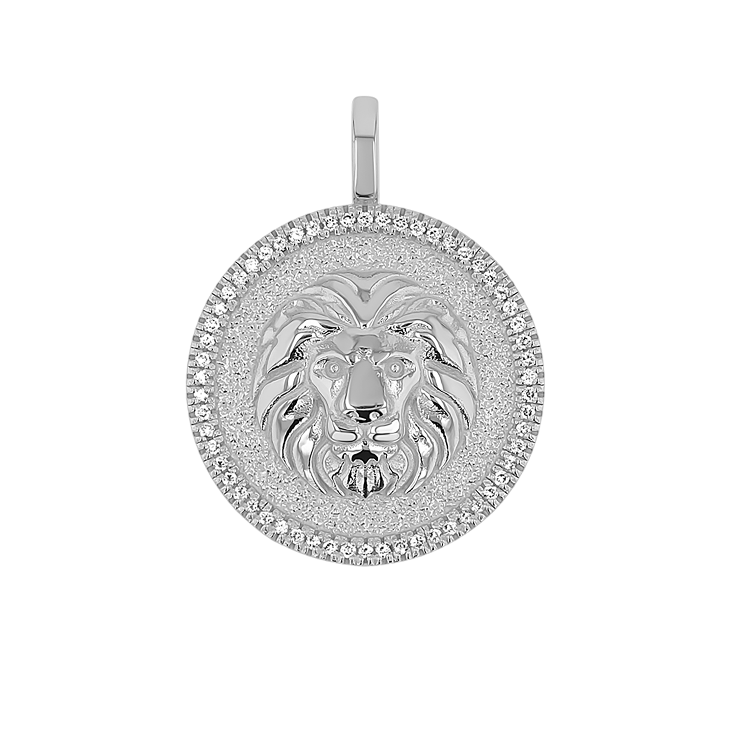 Zodiac Coin Medallion Charm V915