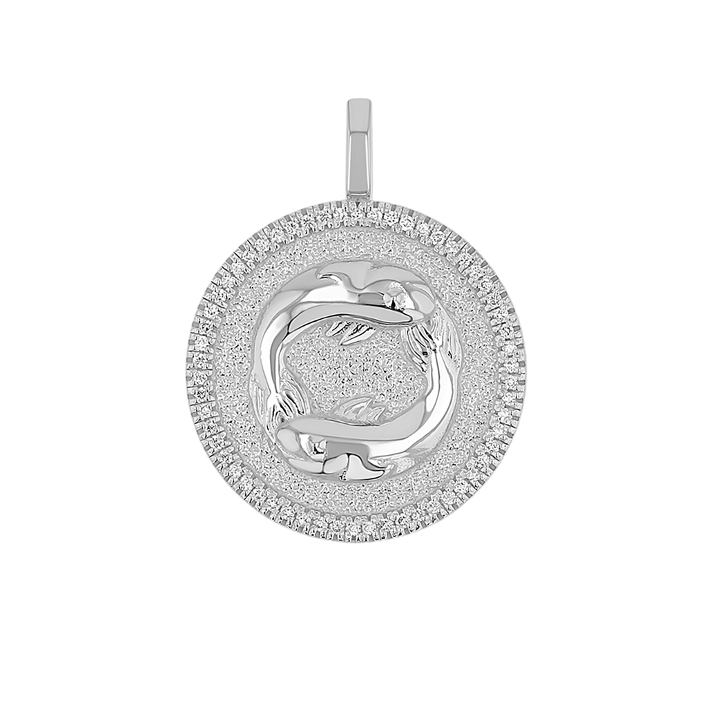 Zodiac Coin Medallion Charm V915