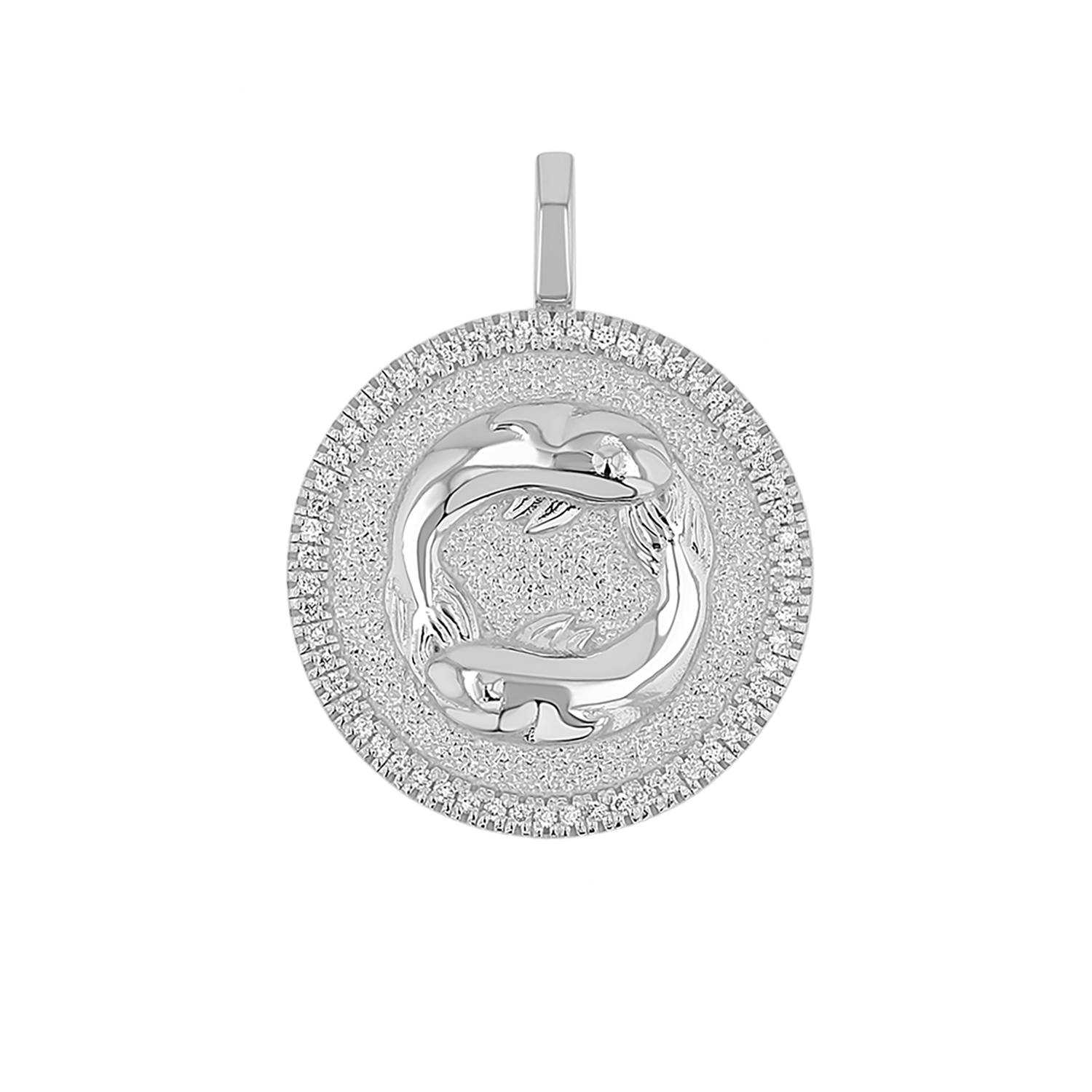 Zodiac Coin Medallion Charm V915