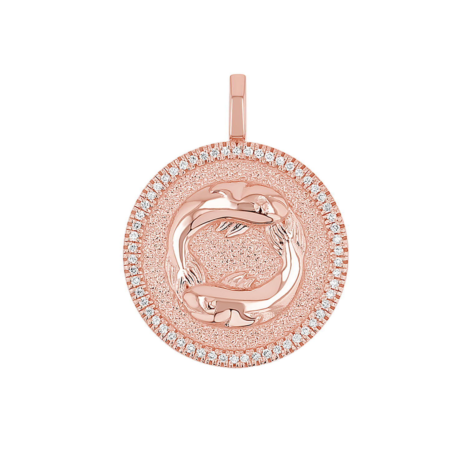 Zodiac Coin Medallion Charm V915