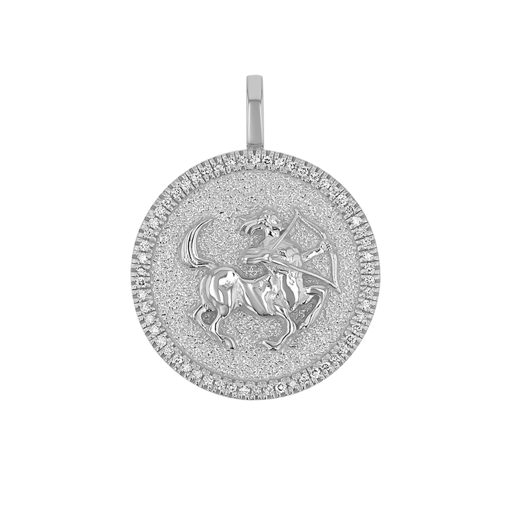 Zodiac Coin Medallion Charm V915