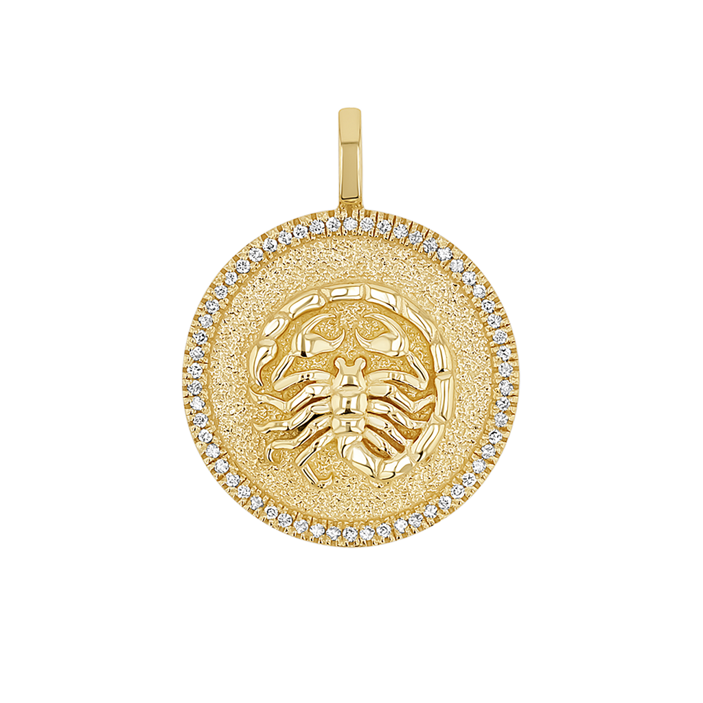 Zodiac Coin Medallion Charm V915