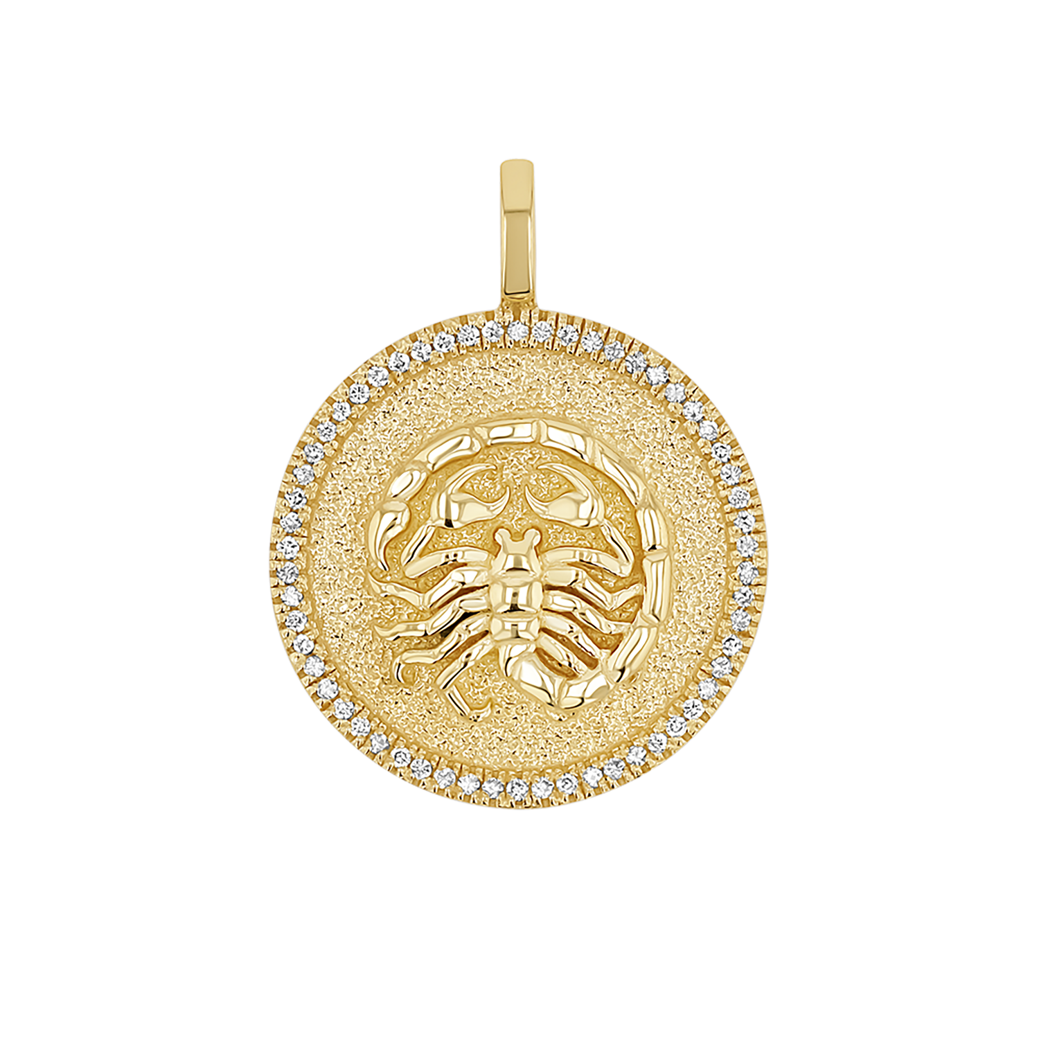 Zodiac Coin Medallion Charm V915