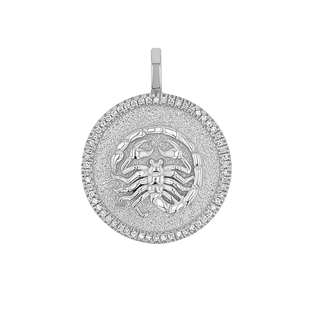Zodiac Coin Medallion Charm V915