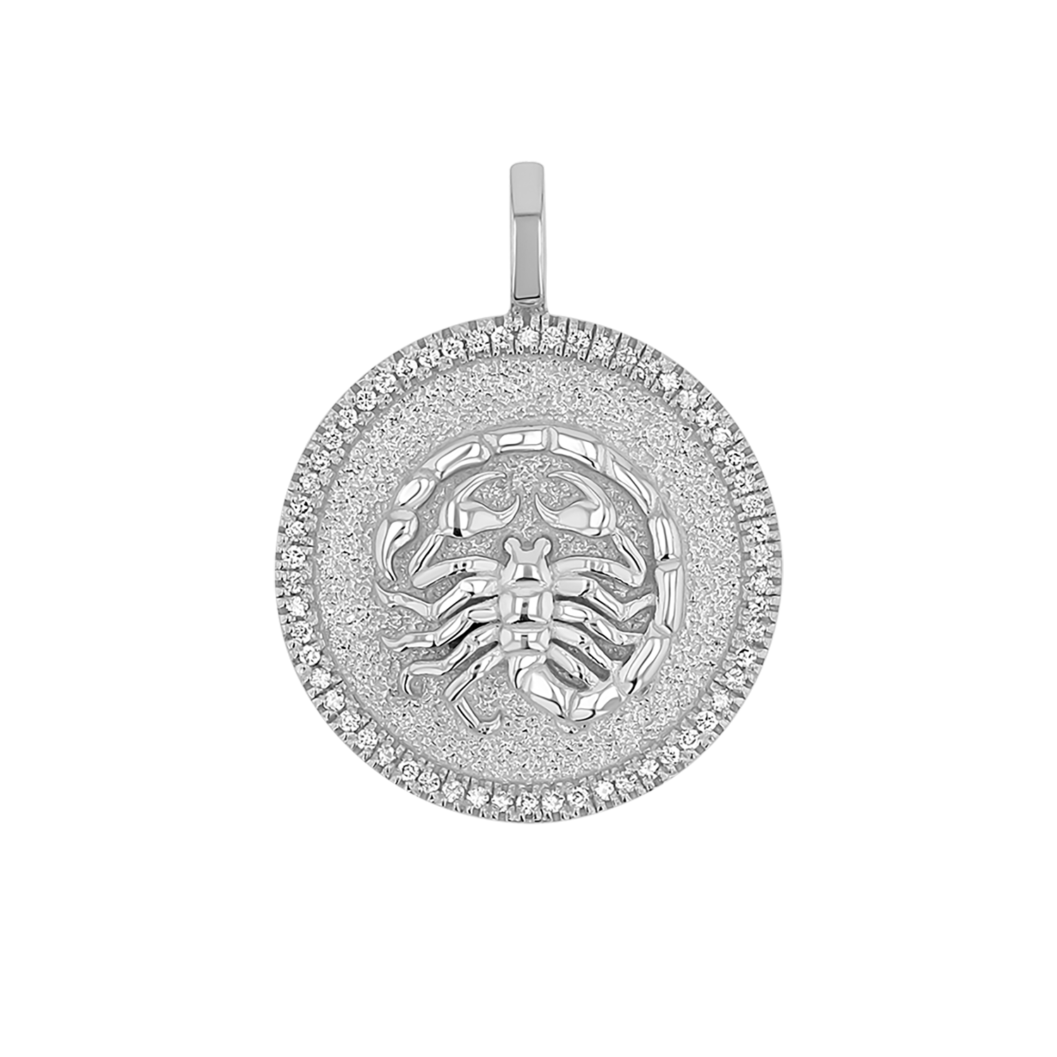 Zodiac Coin Medallion Charm V915