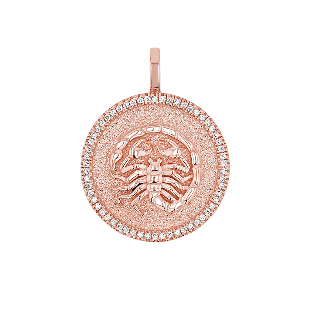Zodiac Coin Medallion Charm V915