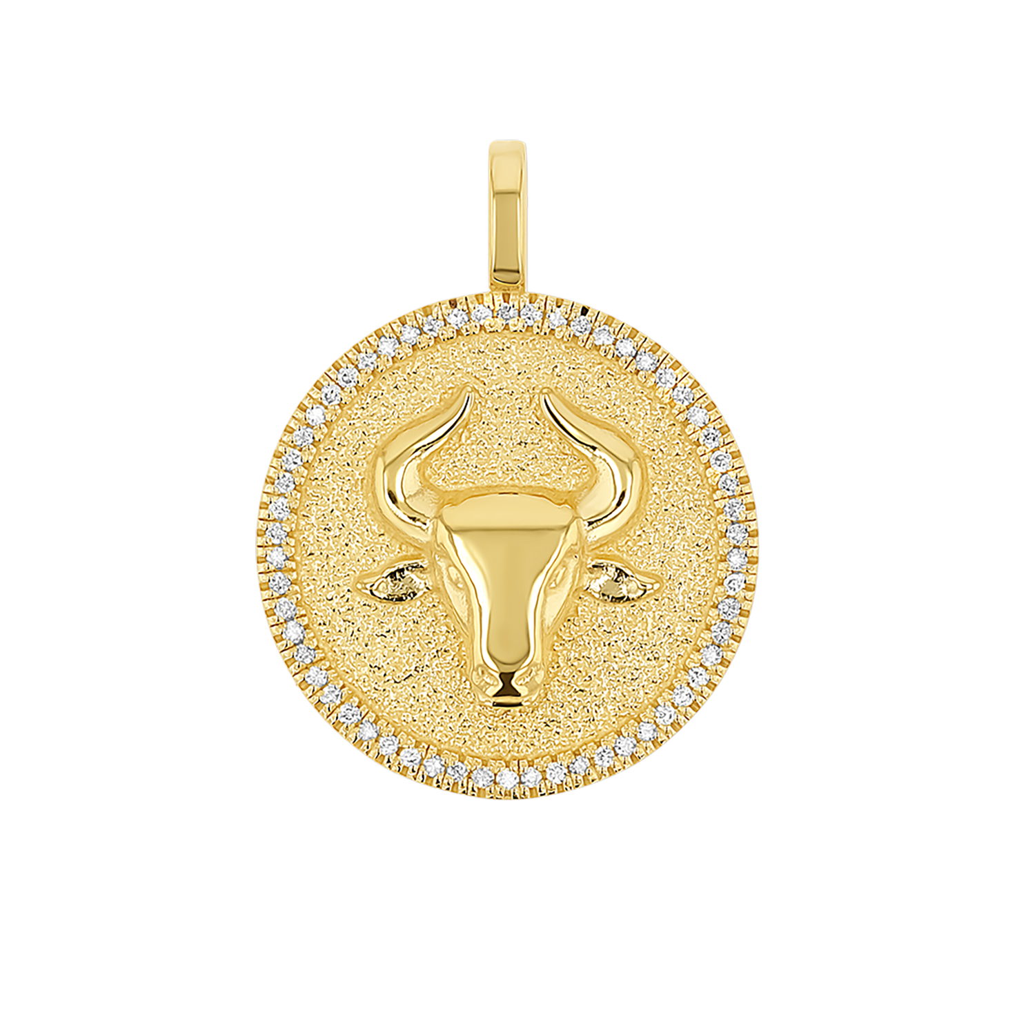 Zodiac Coin Medallion Charm V915